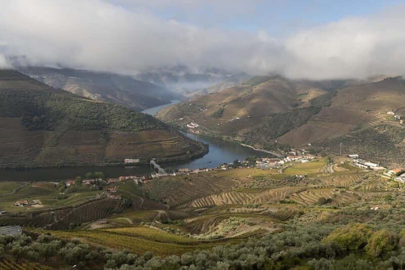 Pinhão: Douro Valley Guided Hike - Why This Tour Matters