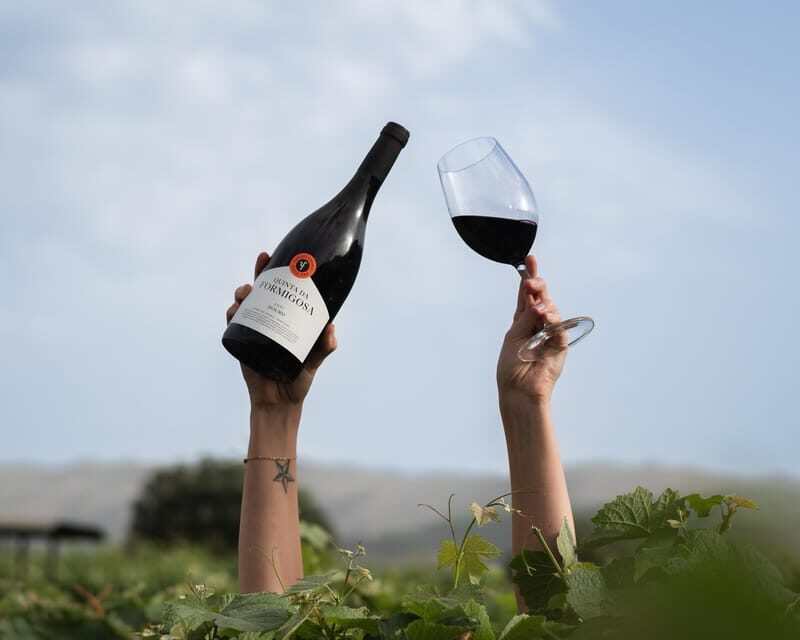 Pinhão: Quinta da Formigosa Vineyard Tour and Wine Tasting - A Deep Dive into the Vineyard Tour and Tasting