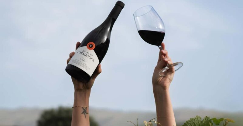 Pinhão: Quinta da Formigosa Vineyard Tour and Wine Tasting - How to Get There and Practical Tips