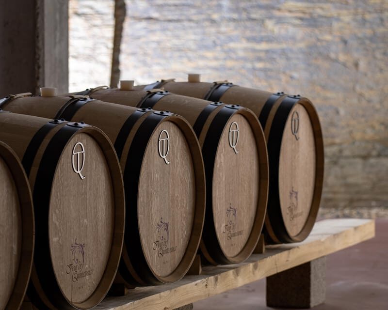 Pinhão: Quinta da Formigosa Vineyard Tour and Wine Tasting - Final Thoughts: Who Will Love This Tour?