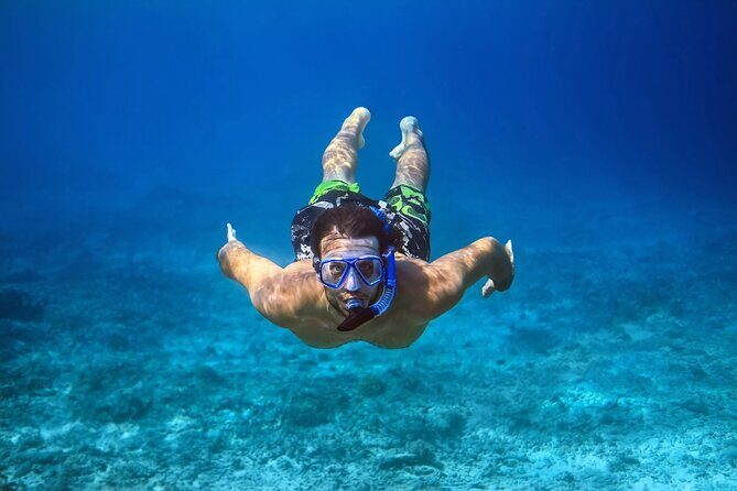 Pink Dolphin Spotting & Snorkelling Day Tour At Pigs Island - The Authenticity of Reviews