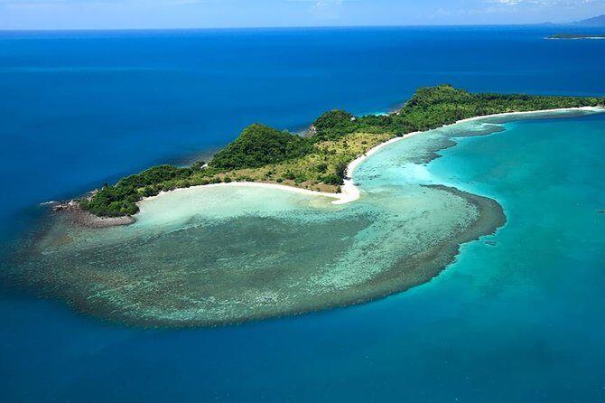 Pink Dolphin Spotting & Snorkelling Day Tour At Pigs Island - Final Thoughts on Value and Suitability