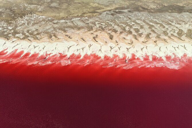 Pink Lake & Giant Salt Crystals  Great Salt Lake Adventure - Key Points