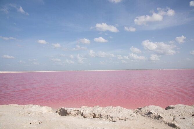 Pink Lake Lagoon and Rio Lagartos Tour from Playa del Carmen - The Experience in Detail