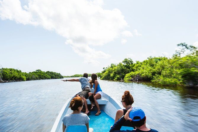 Pink Lake Tour from Las Coloradas with lunch and boat ride - The Highlights: Why This Tour Matters