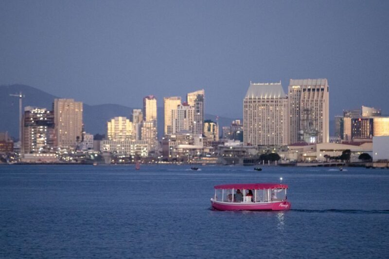 Pink Private Boat Cruise in San Diego! Bachelorette Birthday - Practical Considerations