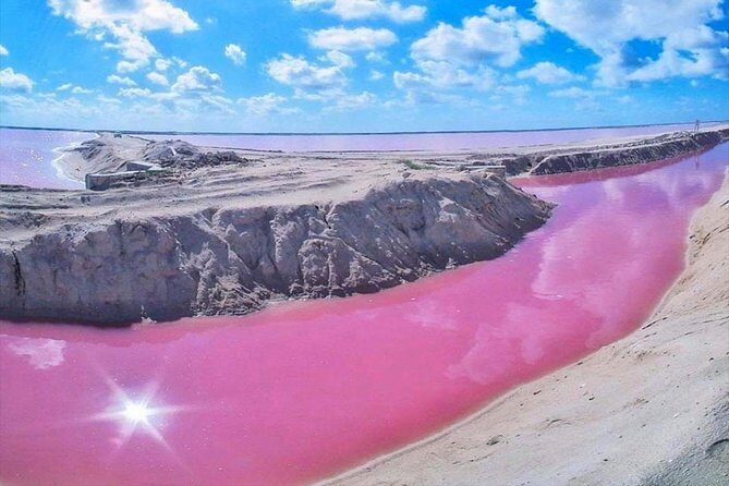 Pink Waters of Las Coloradas, Pink Flamingos and Colonial City of Valladolid, - An In-Depth Look at the Tour Experience