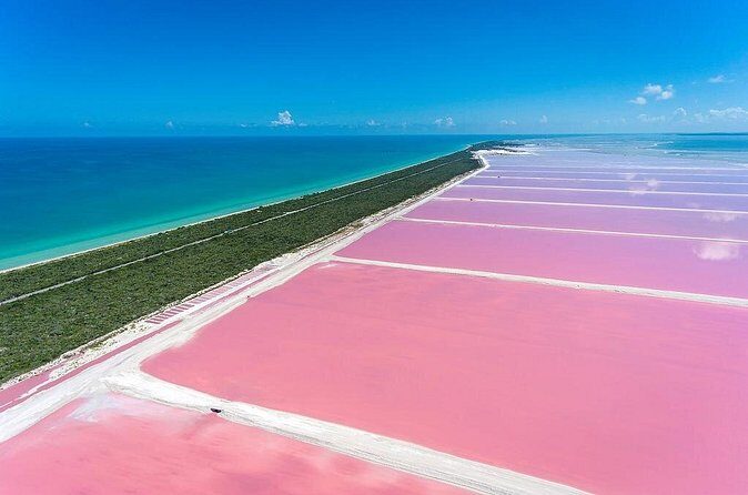 Pink Waters of Las Coloradas, Pink Flamingos and Colonial City of Valladolid, - FAQ
