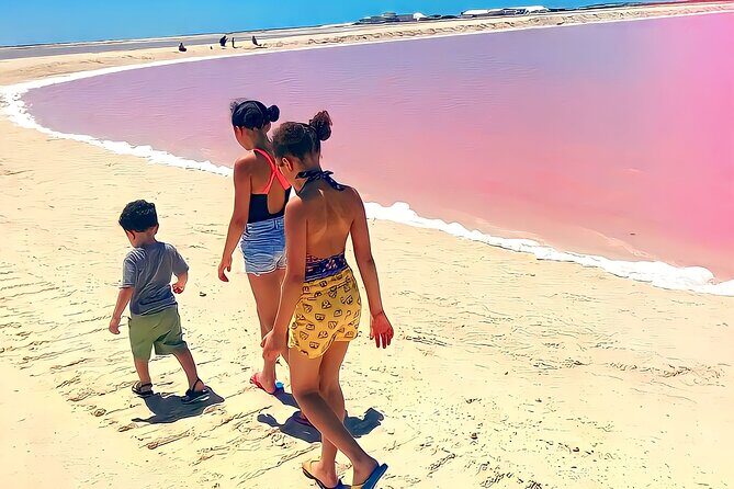 Pinktastic Lagoon Adventure Las Coloradas & Rio Lagartos from Cancun - The Sum Up