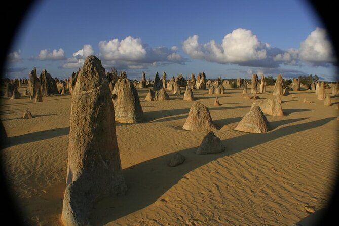 Pinnacles Day Tour - Who Will Love This Tour