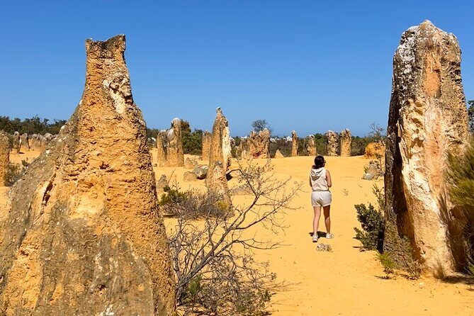 Pinnacles Desert and Catch Your Own Lobster Lunch Safari. - Tour Logistics & Practicalities