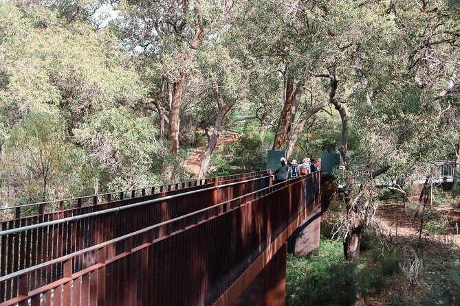 Pinnacles Desert, Koalas and Sandboarding 4WD Day Tour from Perth - FAQ