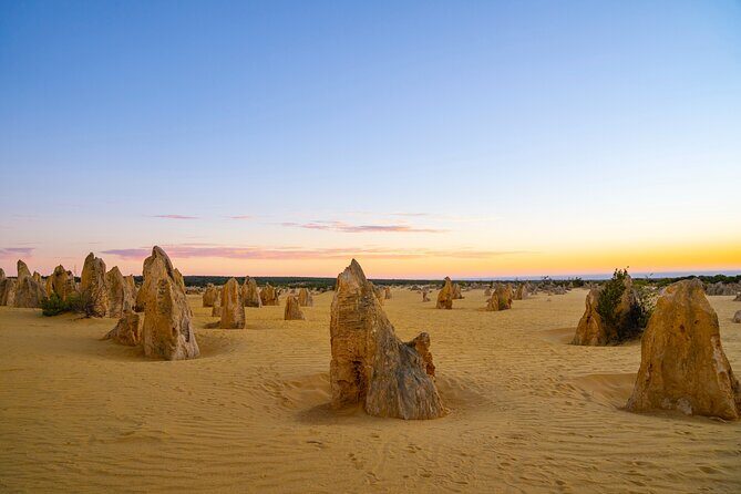 Pinnacles Desert Lobster Tour from Perth - A Deep Dive into the Tour Experience