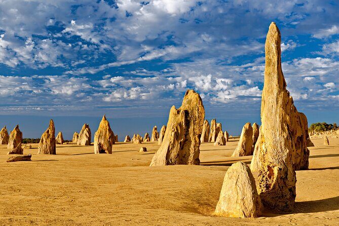 Pinnacles Desert Lobster Tour from Perth - Final Thoughts & Who It’s Best For