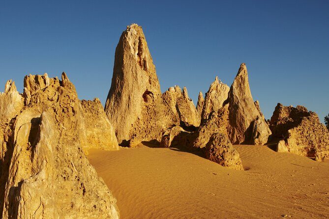 Pinnacles Desert Private Tour - FAQ