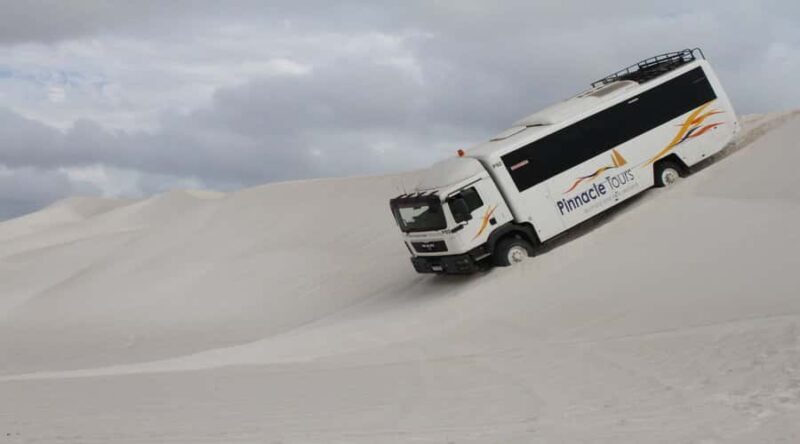 Pinnacles, Koalas, 4WD & Sandboarding Tour from Perth - An In-Depth Look at the Tour Experience