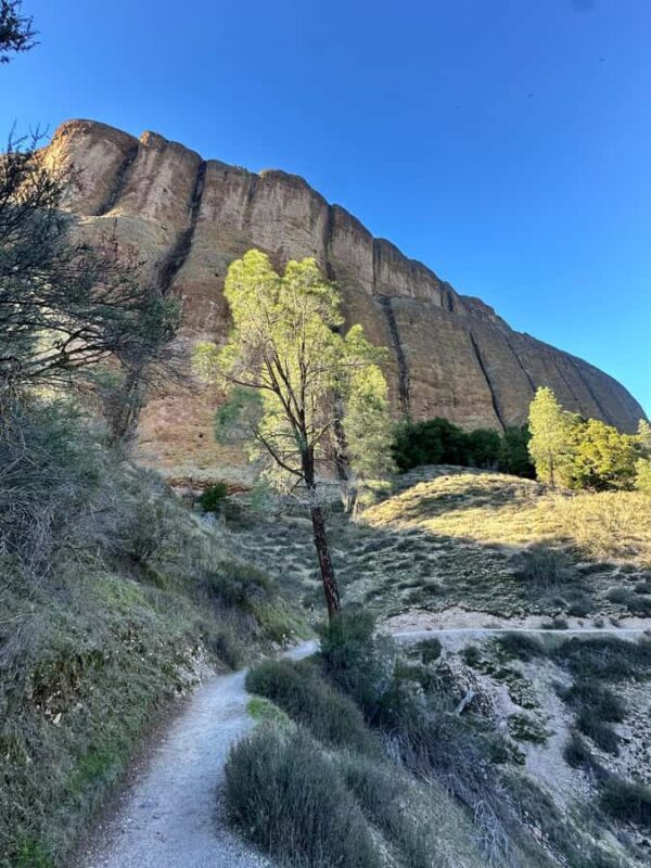 Pinnacles National Park Guided Hike. Your Choice of Trails - FAQ