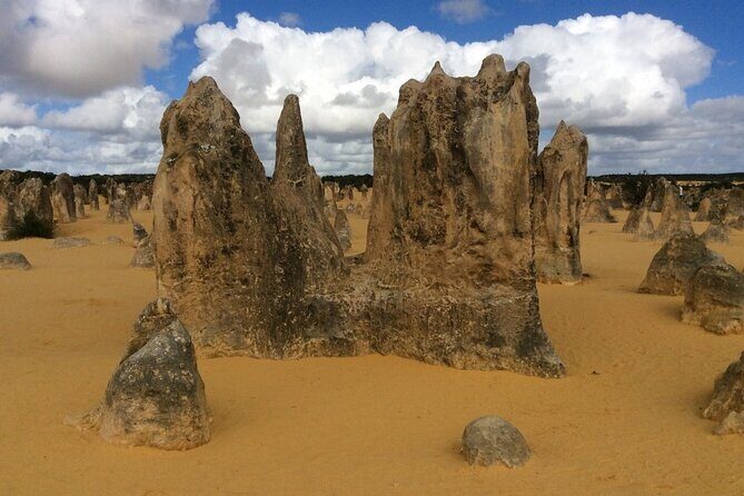 Pinnacles & Rottnest Island Scenic Air & Ground Tour - What the Reviews Say