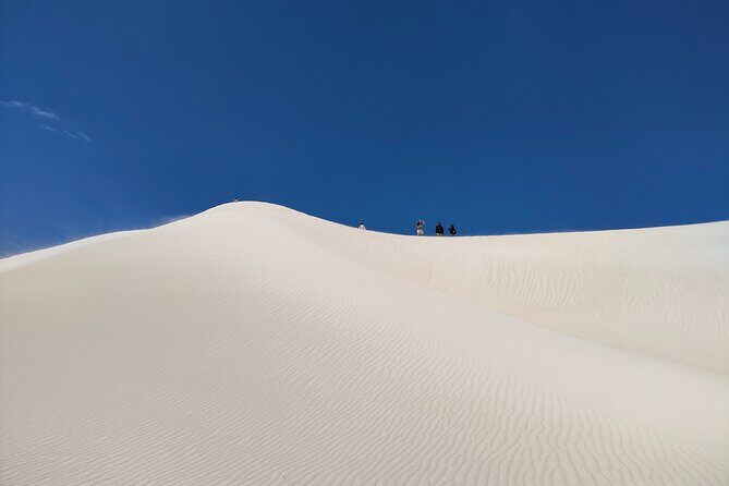 Pinnacles+Lancelin Sand Dune Impression Day Tour from Perth - A Detailed Look at the Tour Experience