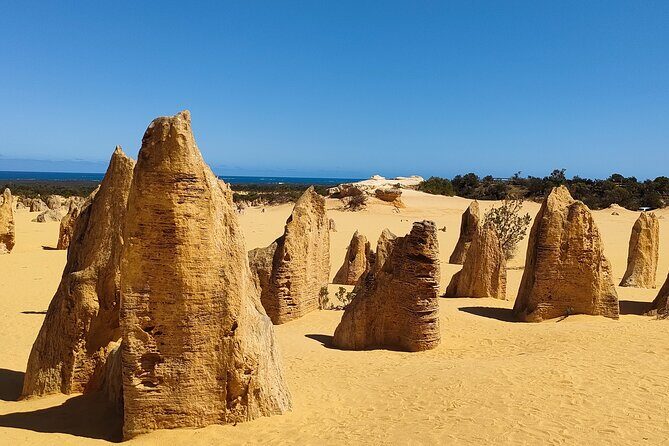 Pinnacles+Lancelin Sand Dune Impression Day Tour from Perth - FAQ