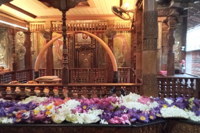 Pinnawala private day trip from colombo or negombo - The Journey: What to Expect at Each Stop