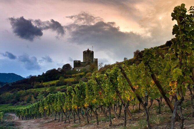 Pinot Noir & Pinot Wine Tour to Baden-Württemberg - The Tour’s Practicalities