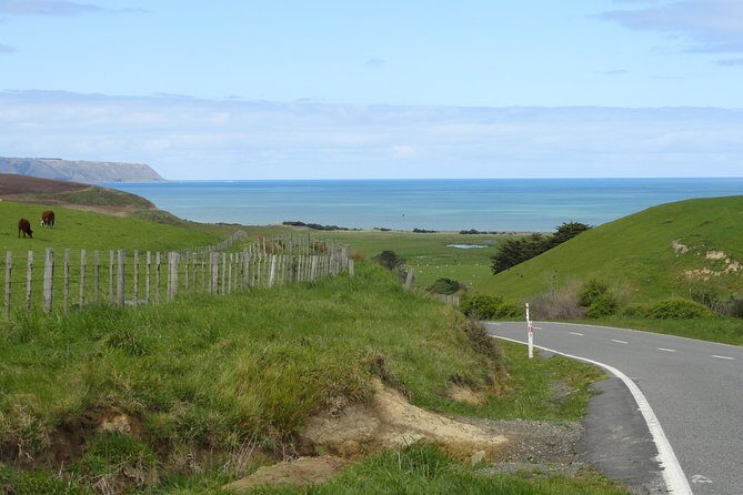 "Pinot to Palliser tour" - Guided tour to Cape Palliser vith lunch + winetasting - Key Points