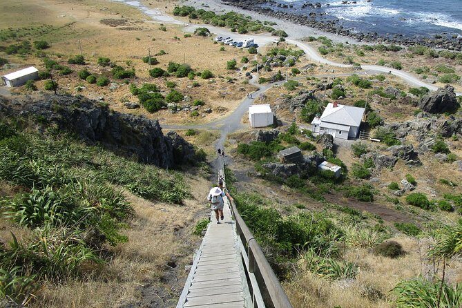 "Pinot to Palliser tour" - Guided tour to Cape Palliser vith lunch + winetasting - Why This Tour Is a Solid Choice