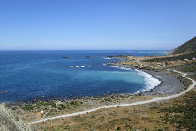 "Pinot to Palliser tour" - Guided tour to Cape Palliser vith lunch + winetasting - Frequently Asked Questions