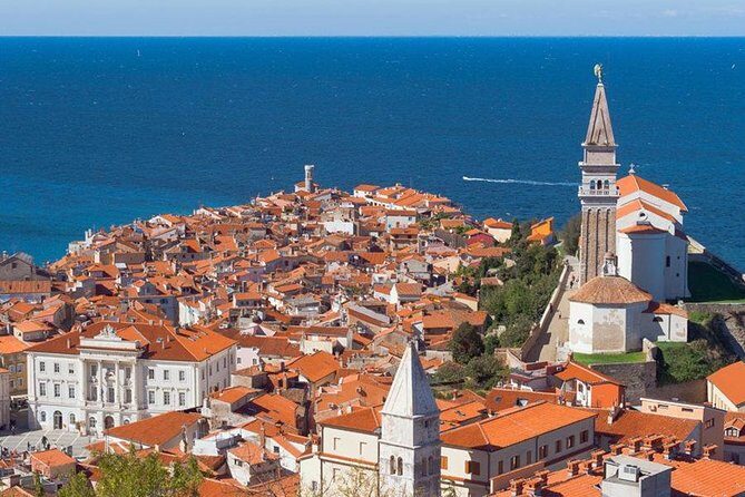 Piran & Panoramic Slovenian Coast from Trieste - The Guide: Knowledgeable and Passionate