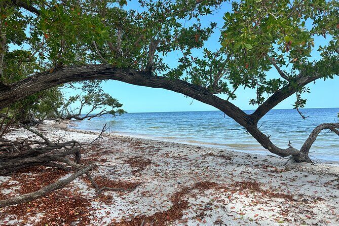 Pirate Adventure in Florida - Who Should Consider This Tour?