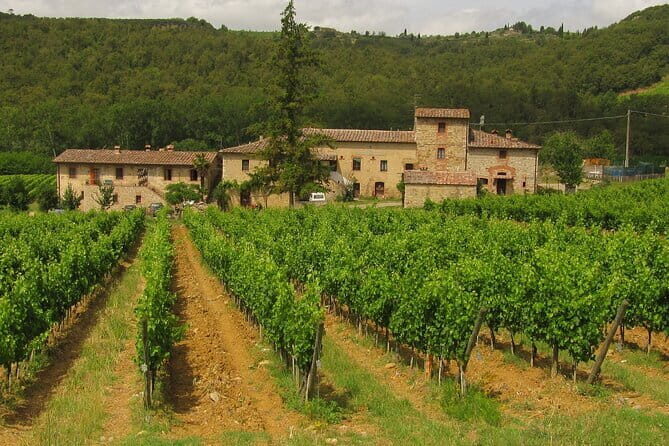 Pisa and Florence Private Tour from Livorno Port - Scenic Drive Through Tuscany