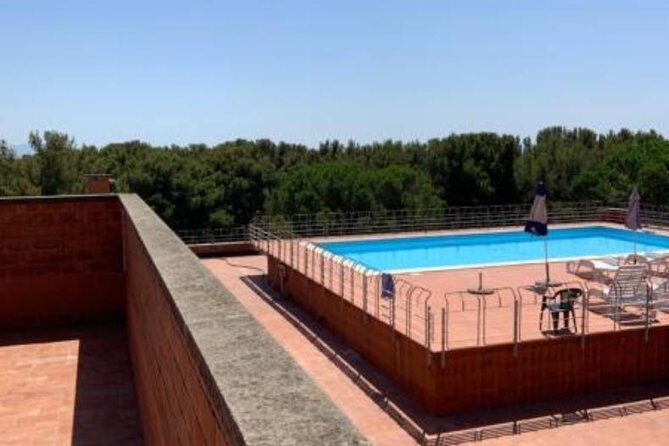 Pisa/Florence Airport Pick-up/Drop-off to Castiglioncello - A Detailed Look at the Transfer Experience