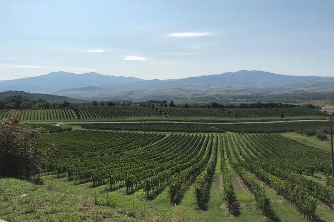 Pisa Full Day from La Spezia Port - FAQs