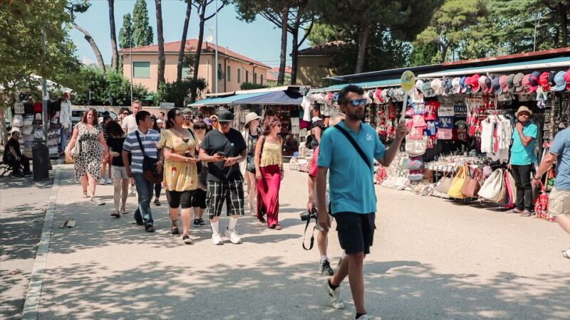 Pisa: Half-Day Afternoon Tour from Florence - Who Will Love This Tour?