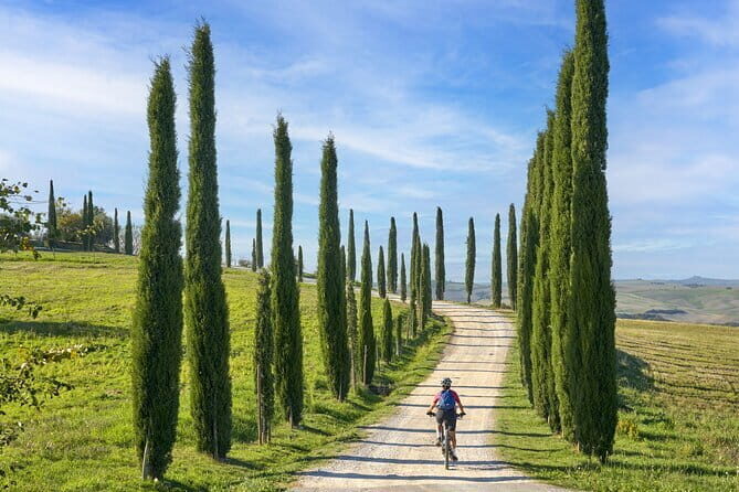 Pisa, Siena and San Gimignano Day Trip with Lunch & Wine Pairing - San Gimignano: The Medieval Manhattan