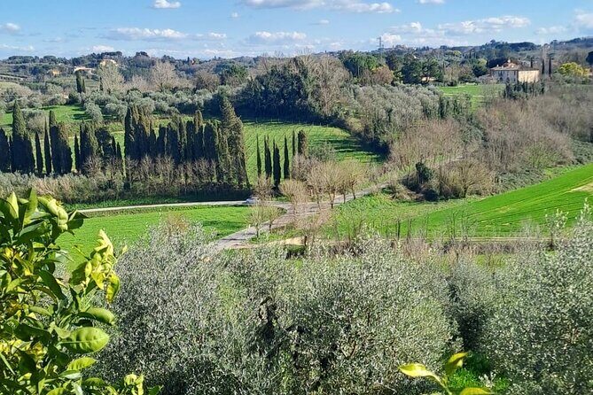 Pisa Tour and Wine Tasting on the Pisan Hills - Authentic Experiences and Unique Insights