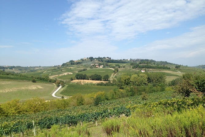 Pisa, Volterra and San Gimignano Private Tour from Florence - Who is This Tour Best For?