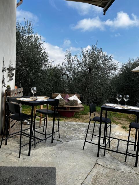 Pisa: Winery Tour and Wine Tasting with Local Food Pairing - An In-Depth Look at the Experience