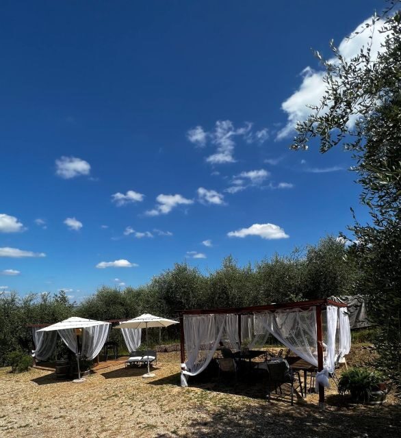 Pisa: Winery Tour and Wine Tasting with Local Food Pairing - Final Thoughts