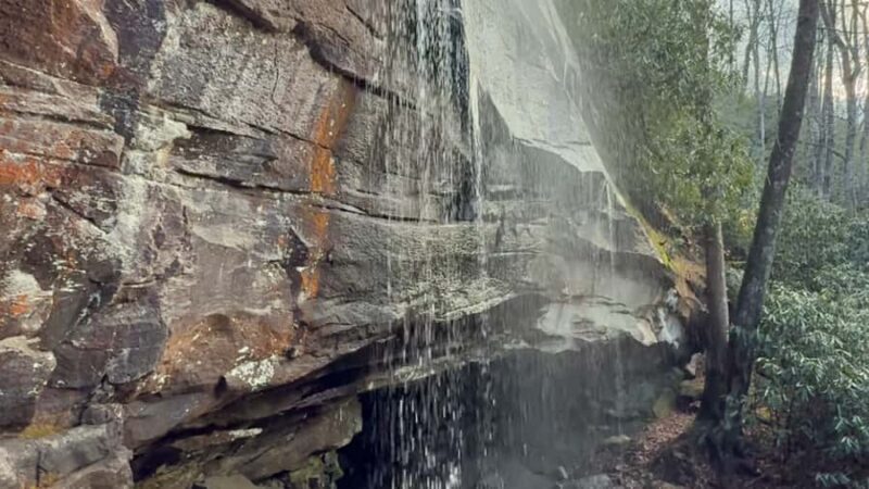 Pisgah Forest, NC: Waterfall Adventure Tour - An In-Depth Look at the Pisgah Forest Waterfall Adventure Tour