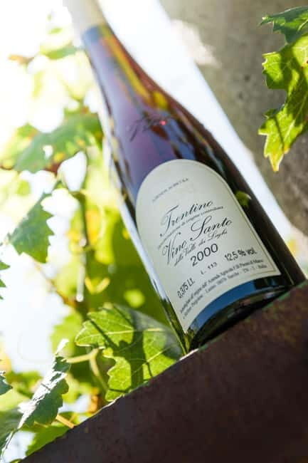 Pisoni: Stories of wine and flavors - An in-depth look at Pisoni: Stories of wine and flavors