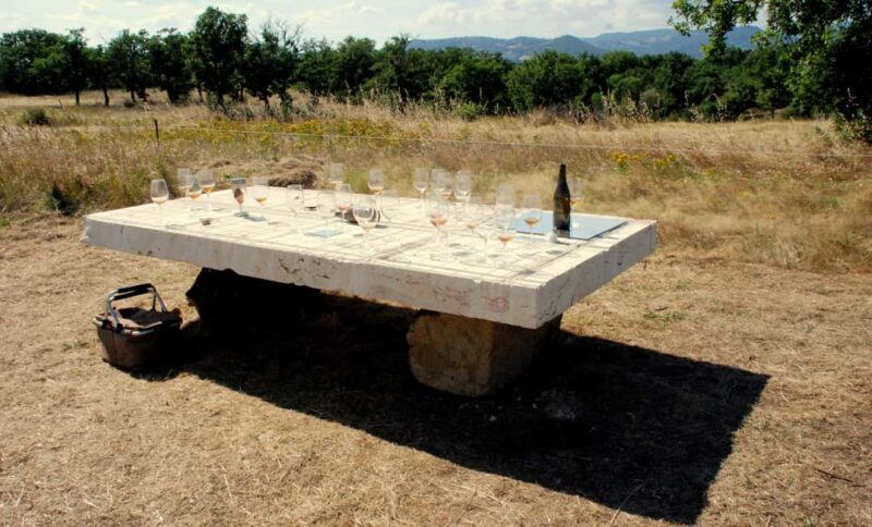 Pitigliano: Ciliegiolo Grape Wine Tasting - Pitigliano: Ciliegiolo Grape Wine Tasting — An Authentic Taste of Tuscany