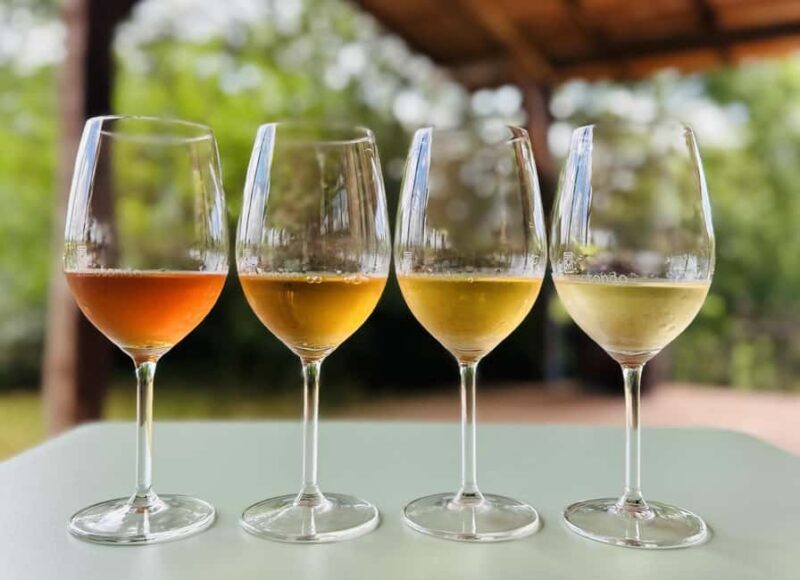 Pitigliano: Ciliegiolo Grape Wine Tasting - The Itinerary Breakdown