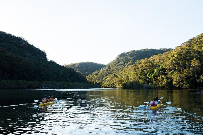 Pittwater Discovery Kayaking Tour - An In-Depth Look at the Pittwater Discovery Kayaking Tour