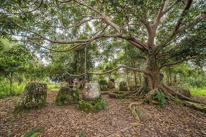 Plain of jars tour with local guide - Who Should Take This Tour?