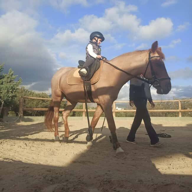 Plakias: Horse Riding Lesson - An In-Depth Look at the Experience