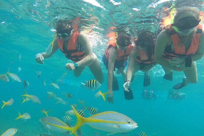 Platinum Catamaran, Drinks, Party and Beach Club! From Cancun - Introduction