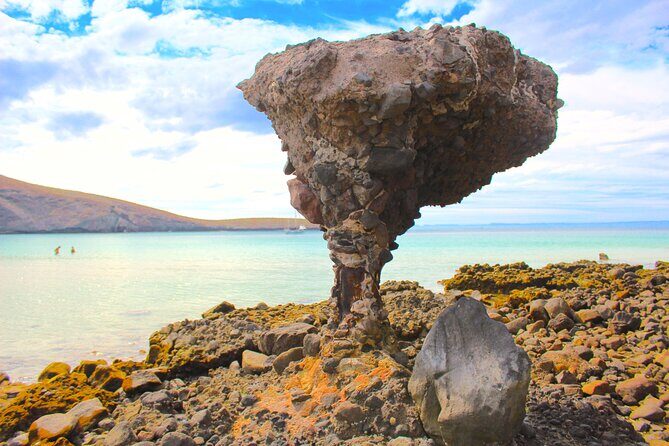 Playa Balandra with Beach Experience and La Paz Guided Tour! La Paz Round Trip - Who Should Consider This Tour?