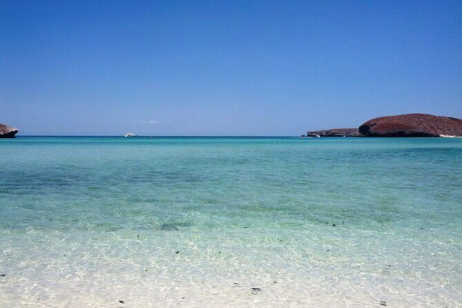 Playa Balandra with Beach Experience and La Paz Guided Tour! La Paz Round Trip - Final Thoughts